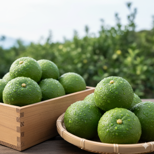 ◆大分市産極上カボス