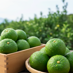 大分市産極上カボス