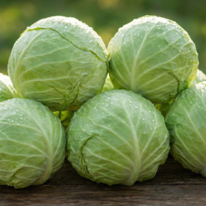 ◆大分県産 高原甘キャベツ「久住の碧」