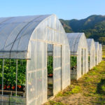 スクリーンショット 2026-01-13 10.34.30