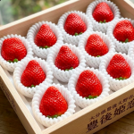 スクリーンショット 2026-01-13 10.35.09