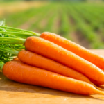 スクリーンショット 2026-01-19 11.26.22