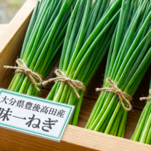 ◆豊後高田産 小ネギ「味一ねぎ」