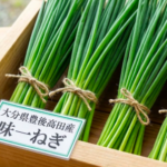 スクリーンショット 2026-01-19 13.50.20