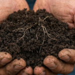 スクリーンショット 2026-01-19 13.50.32