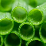 スクリーンショット 2026-01-19 13.50.55