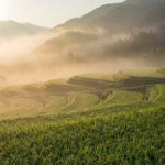 スクリーンショット 2026-01-19 9.36.40